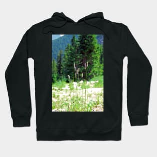 Berthoud Pass Tall Grass Hoodie